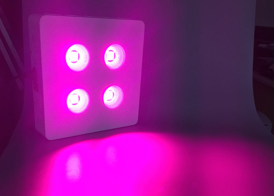 COB Cree LED Chip 600 Watt Led Grow Light For Horticulture Cultivation Marijuana Flowering