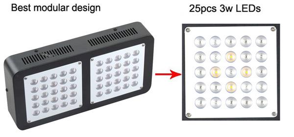 die geführte Modularbauweise wachsen Lichter