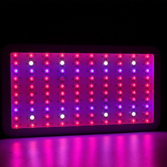 geführte 300w wachsen Licht