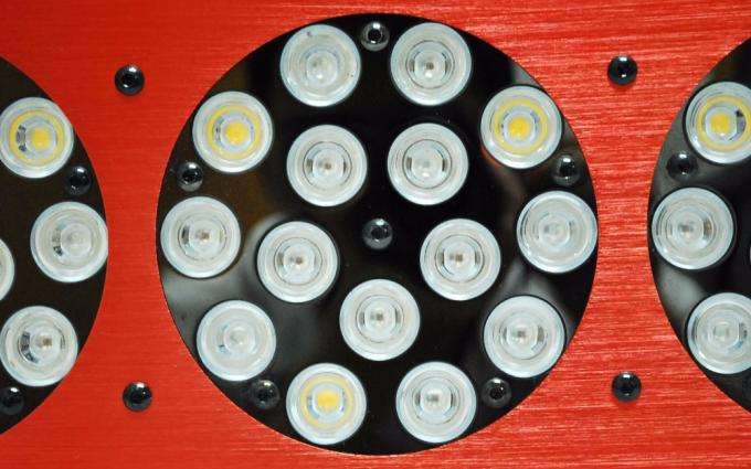 Apollo führte wachsen Lichter